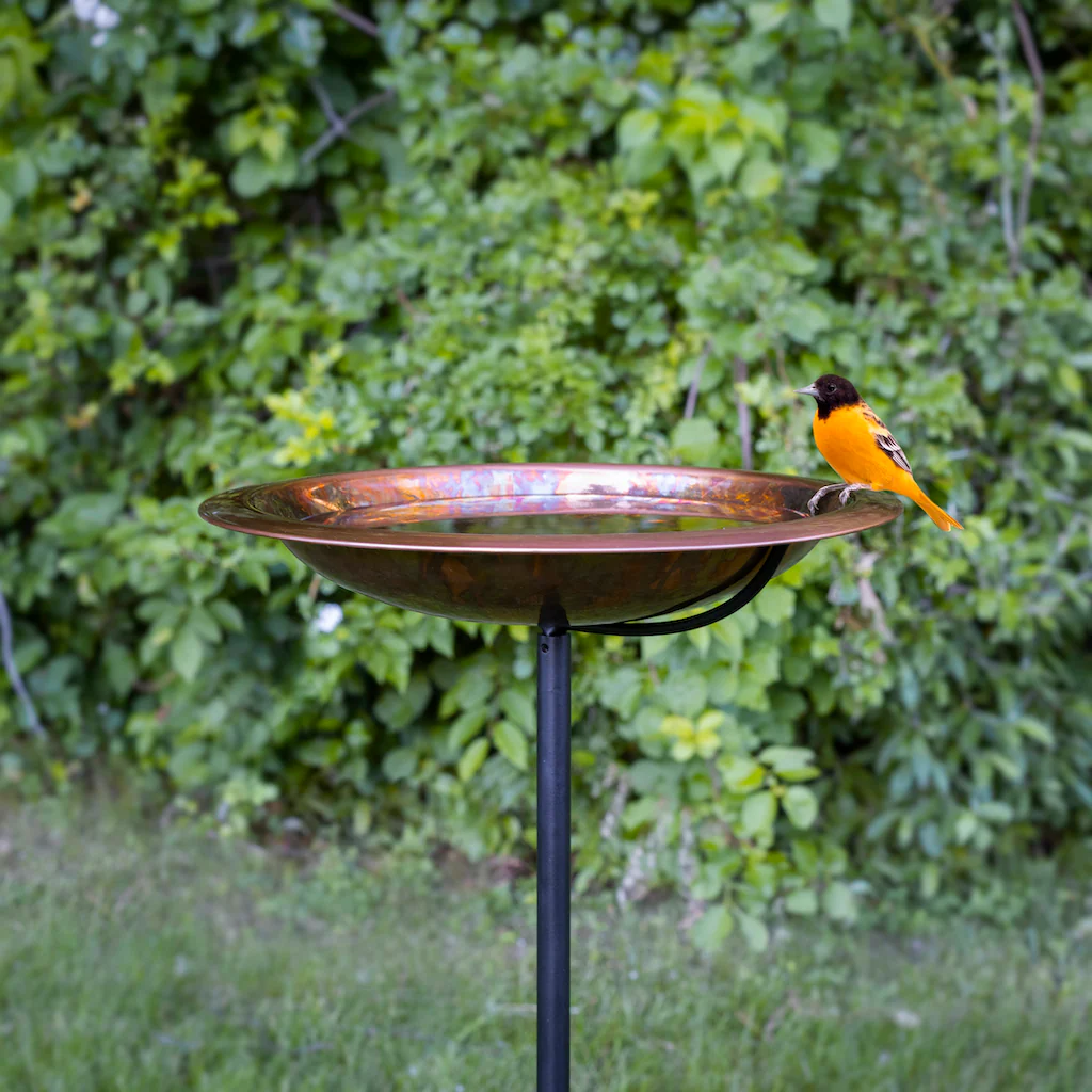 13.5-inch Fired Copper Bird Bath with Garden Pole - Image 6