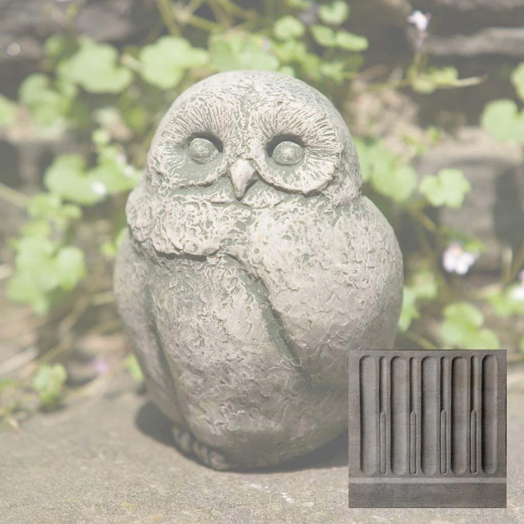 Baby Barn Owl - Image 14