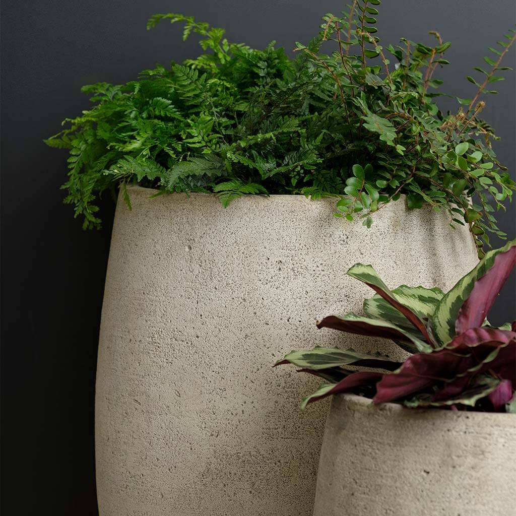 Bebel Planter, Tall - Image 4