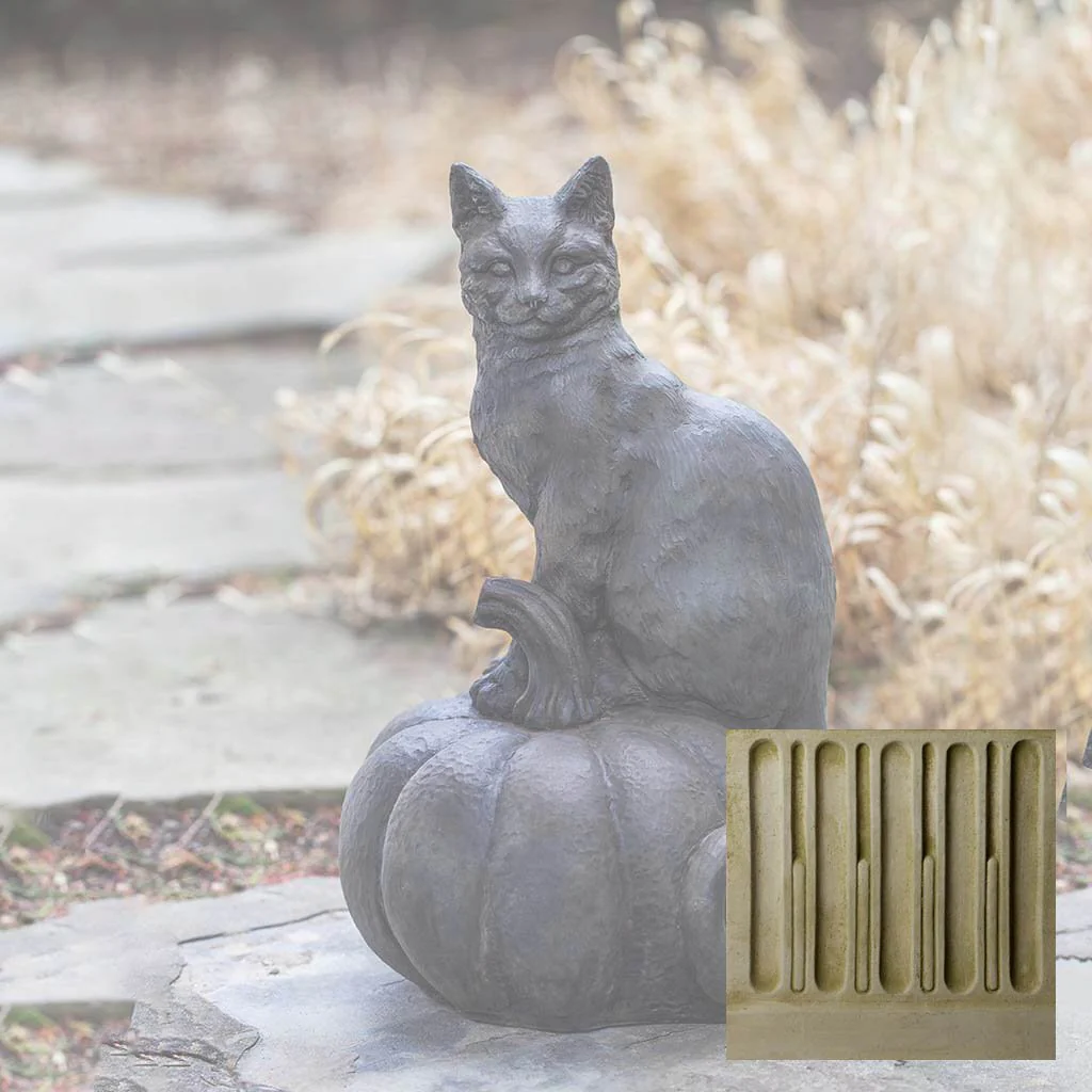 Cat on Pumpkin - Image 6