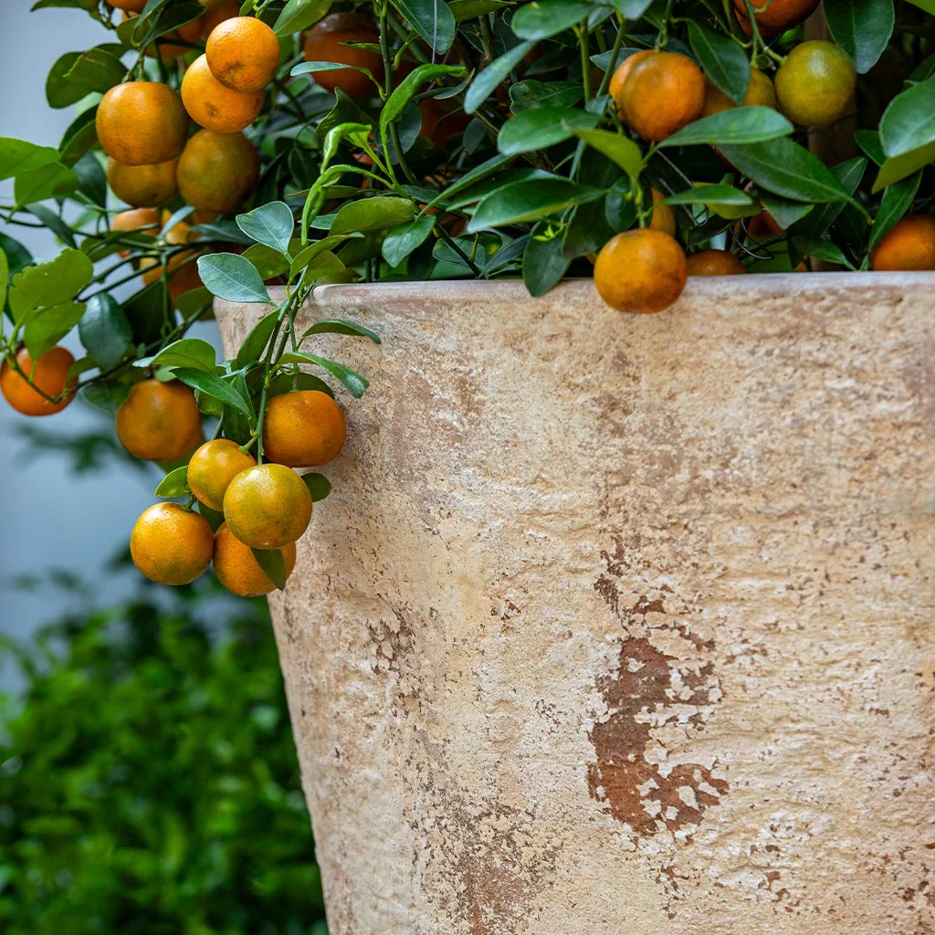 Catena Planter 20" || Antico Terra Cotta - Image 2