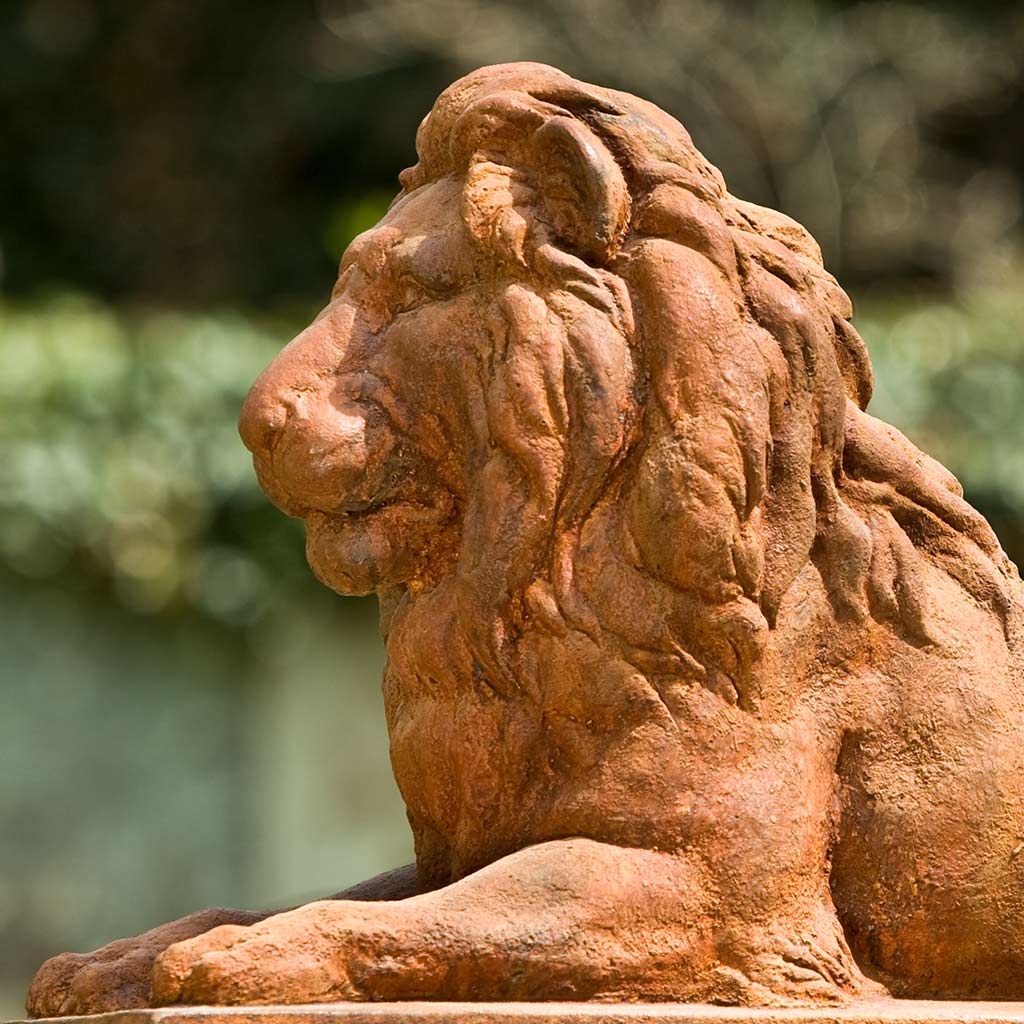 Classic Lion - Image 2