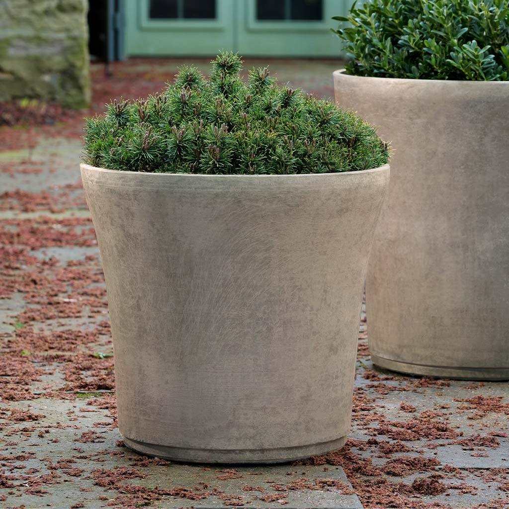 Cloche Planter - Image 5