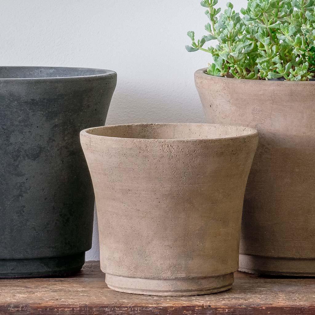 Cloche Planter - Terrace - Image 12