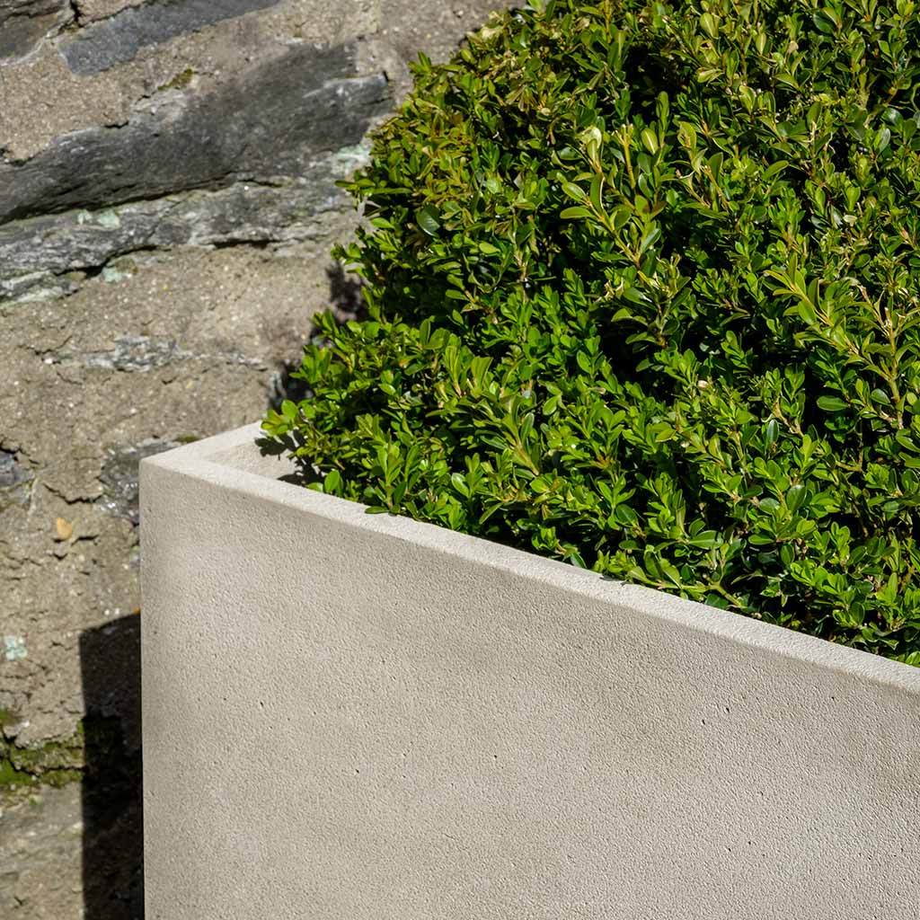 Cube Series Planter - Image 27