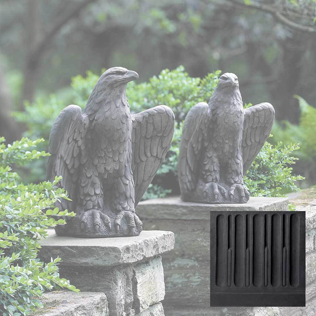 Eagle Looking Left and Right - Image 10