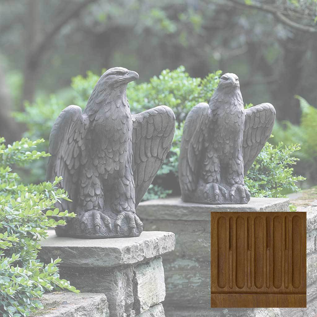 Eagle Looking Left and Right - Image 11