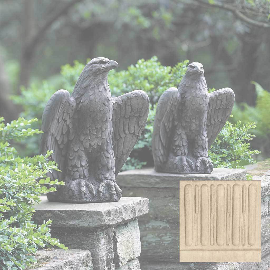 Eagle Looking Left and Right - Image 12