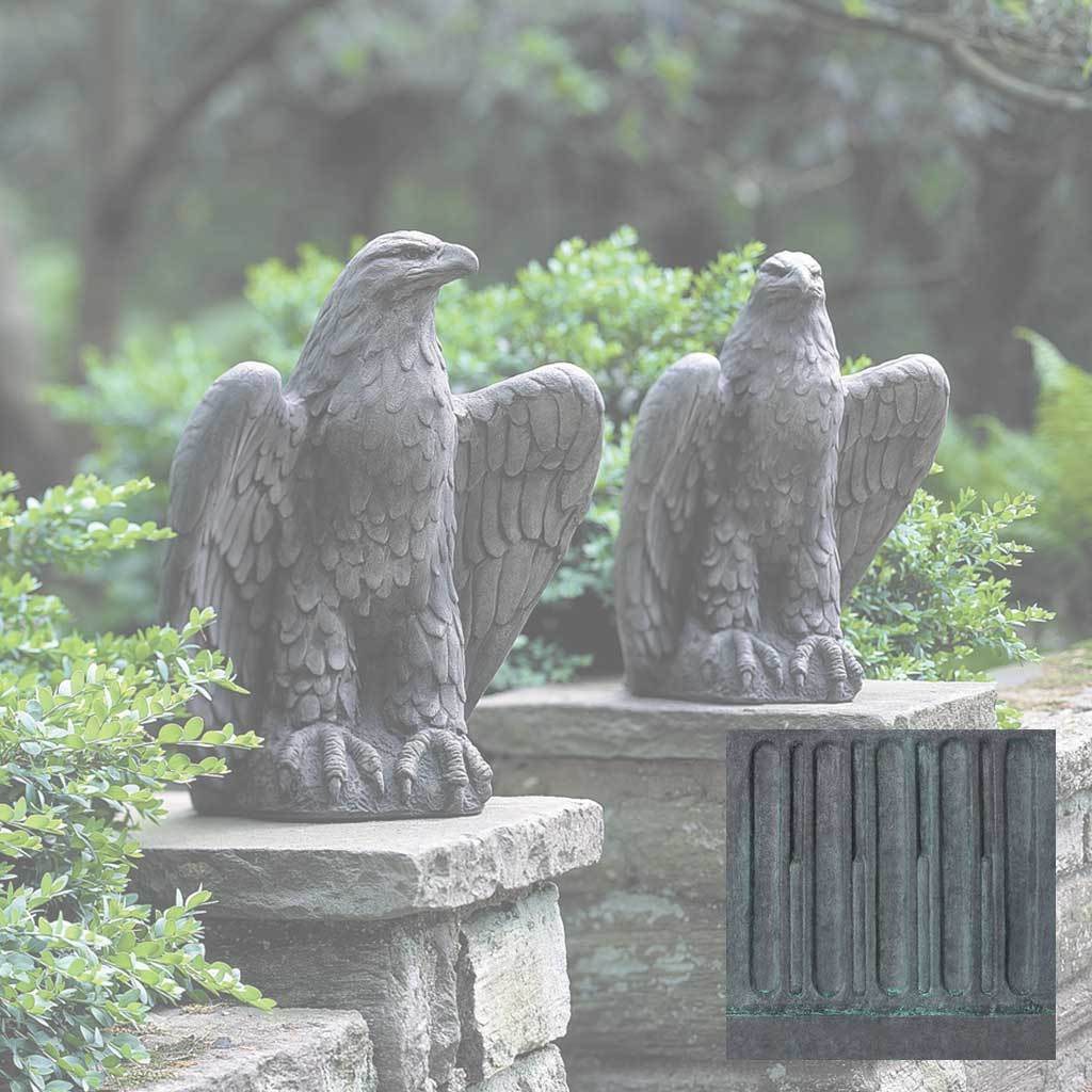 Eagle Looking Left and Right - Image 13