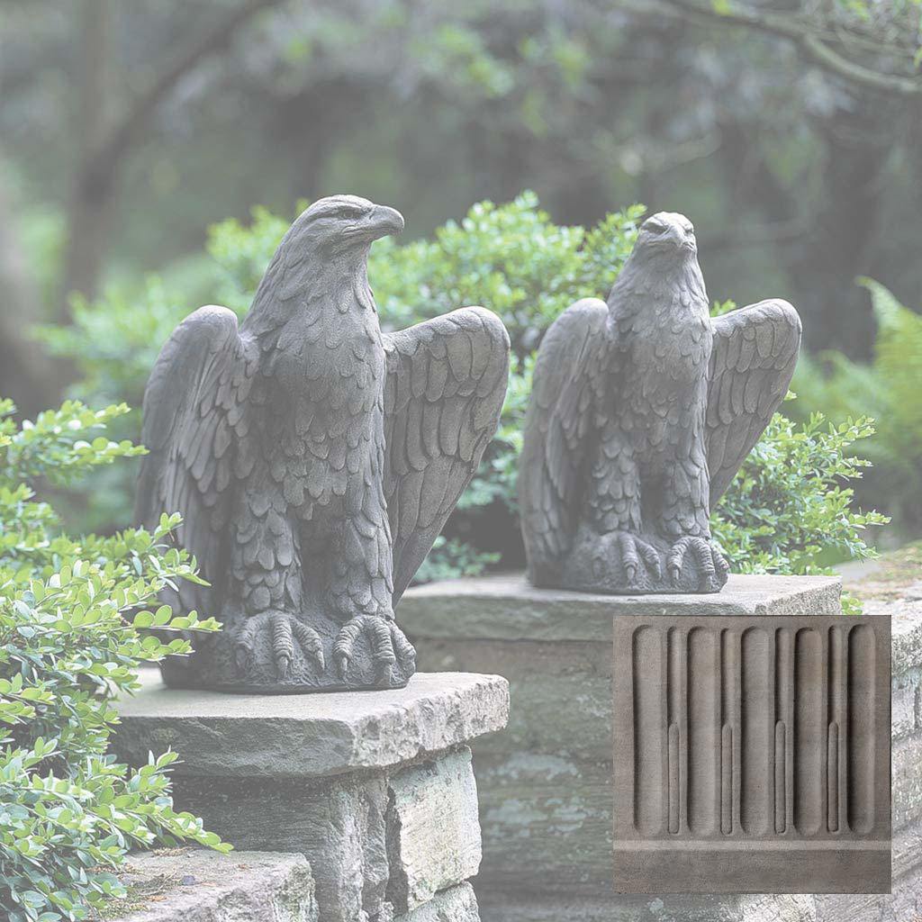 Eagle Looking Left and Right - Image 14