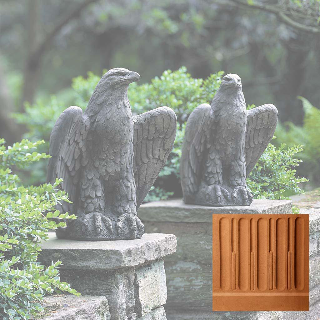 Eagle Looking Left and Right - Image 15