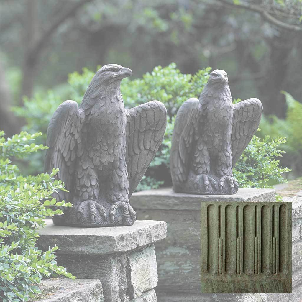 Eagle Looking Left and Right - Image 4
