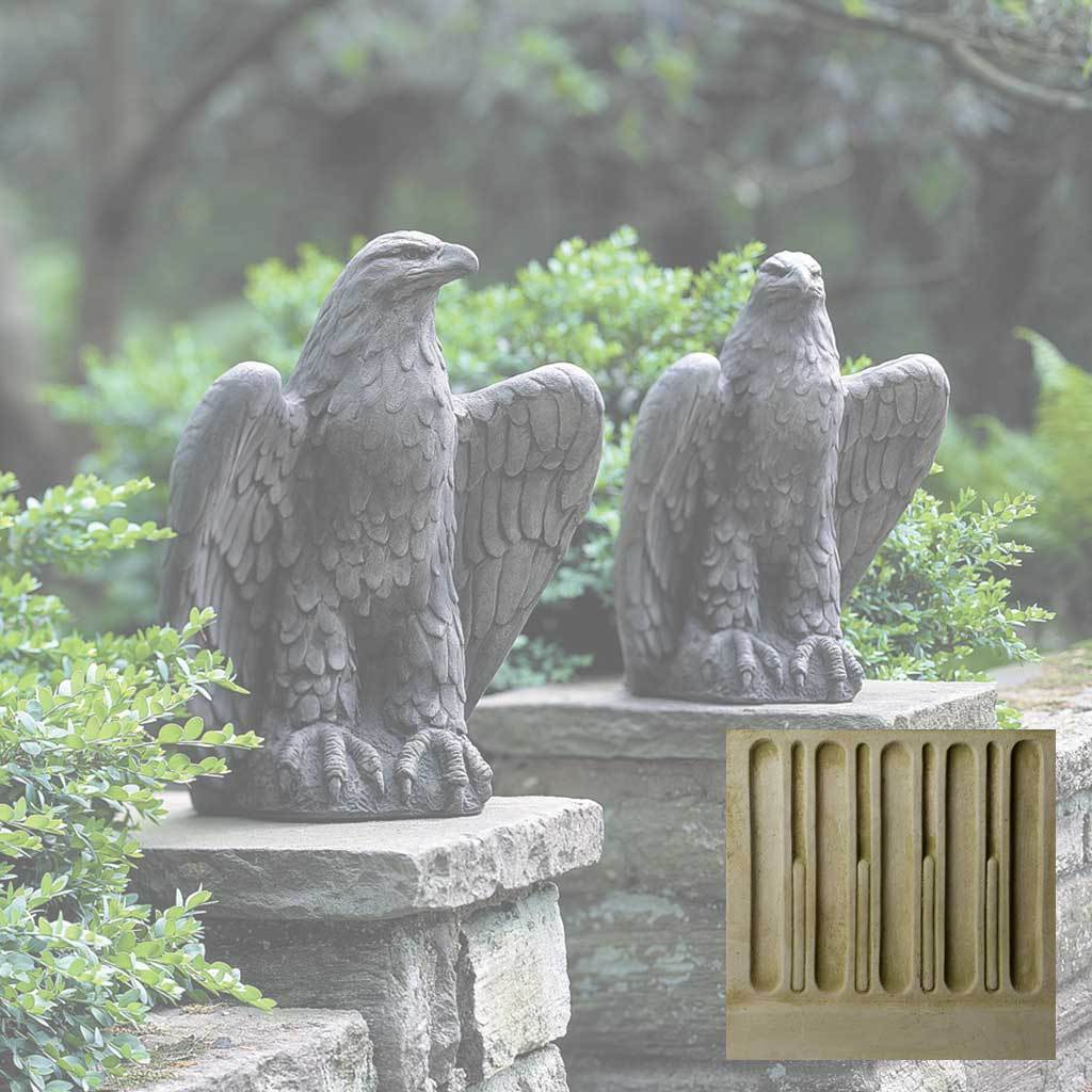 Eagle Looking Left and Right - Image 5