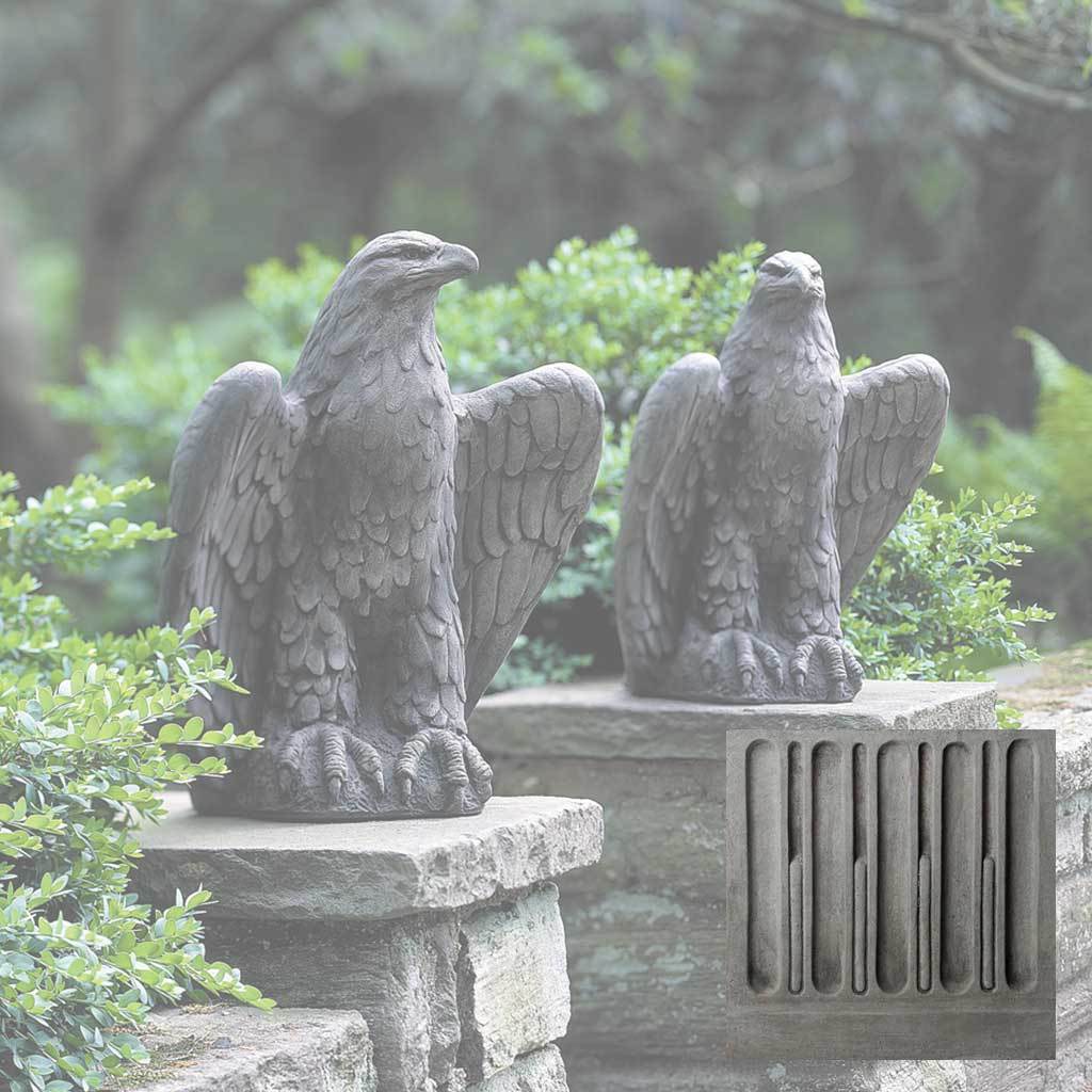 Eagle Looking Left and Right - Image 6
