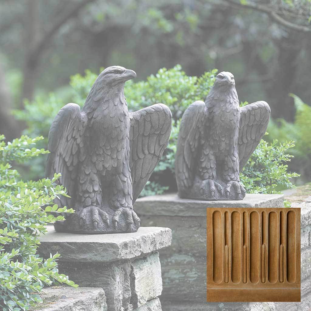 Eagle Looking Left and Right - Image 7