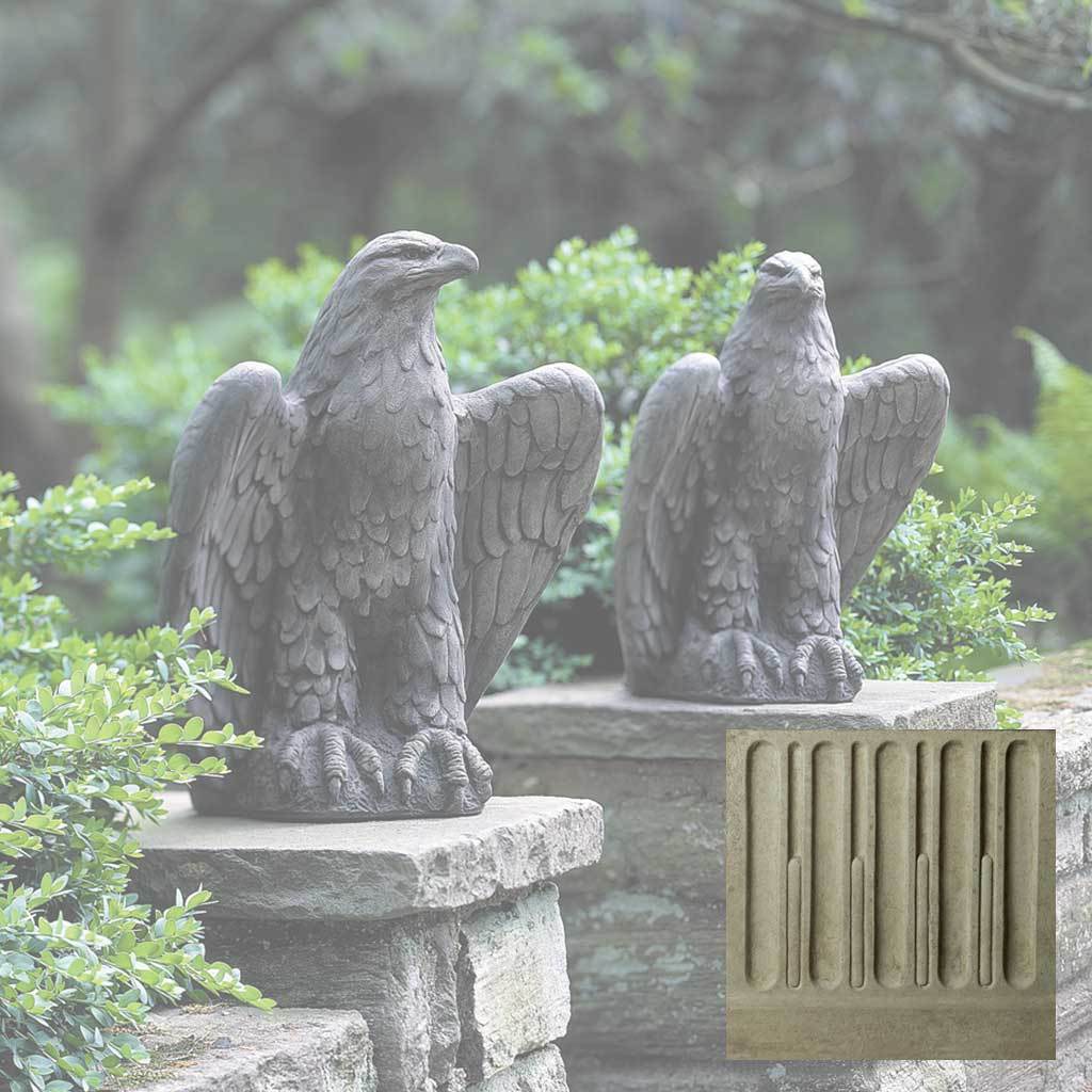 Eagle Looking Left and Right - Image 8