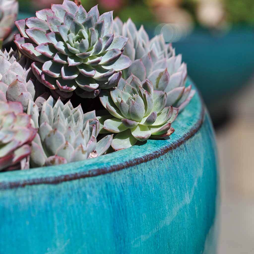 Ellesmere Planter || Aqua - Image 3
