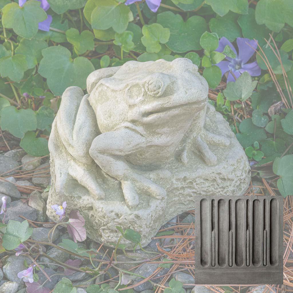 Forest Frog - Image 8