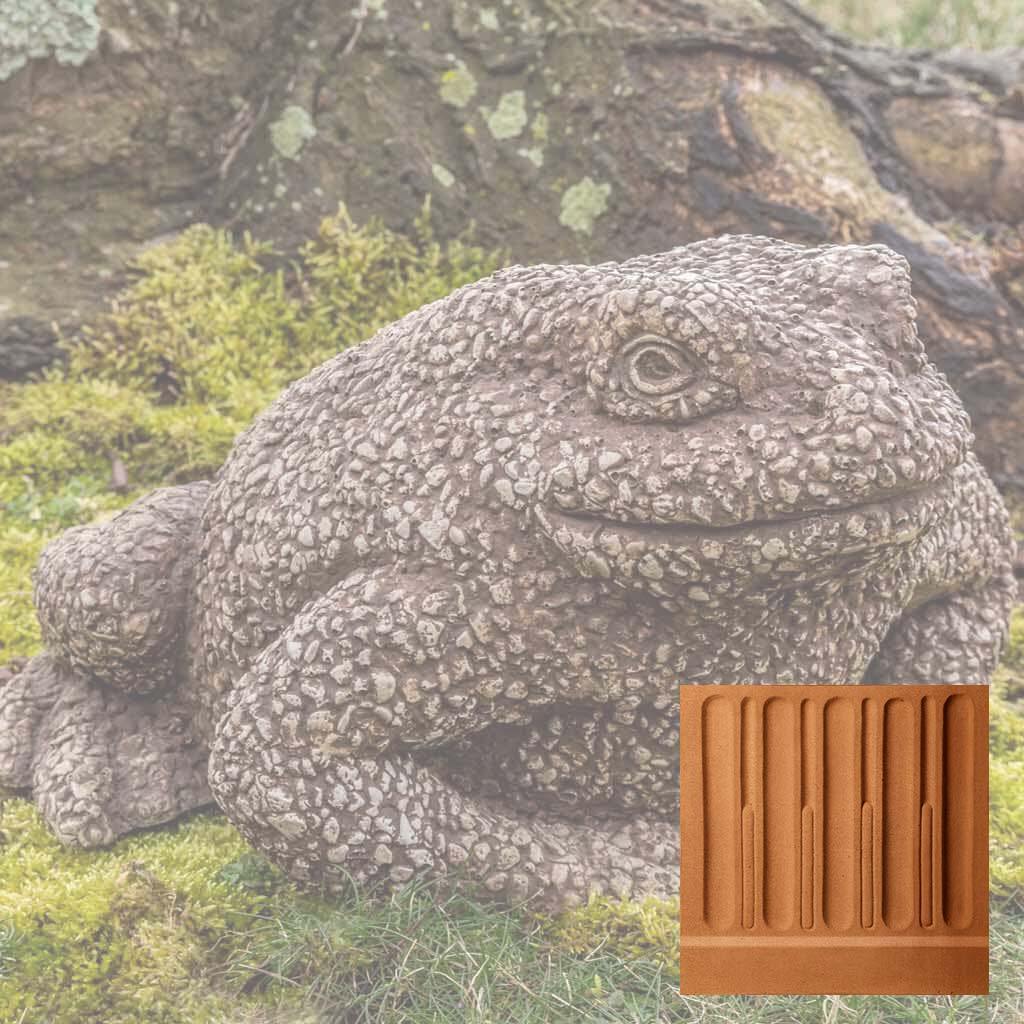 Forest Toad - Image 15