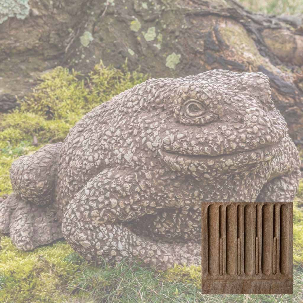 Forest Toad - Image 2