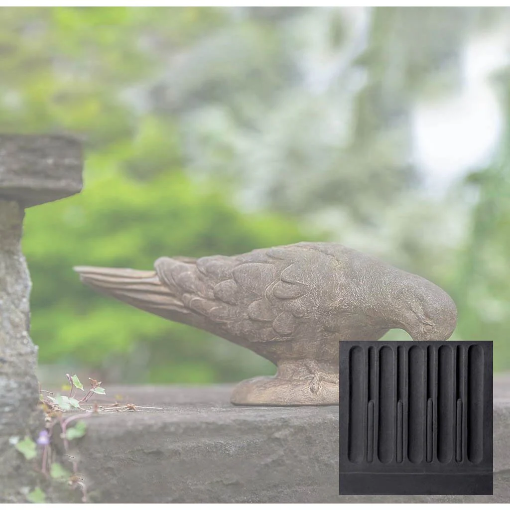 French Dove - Image 10