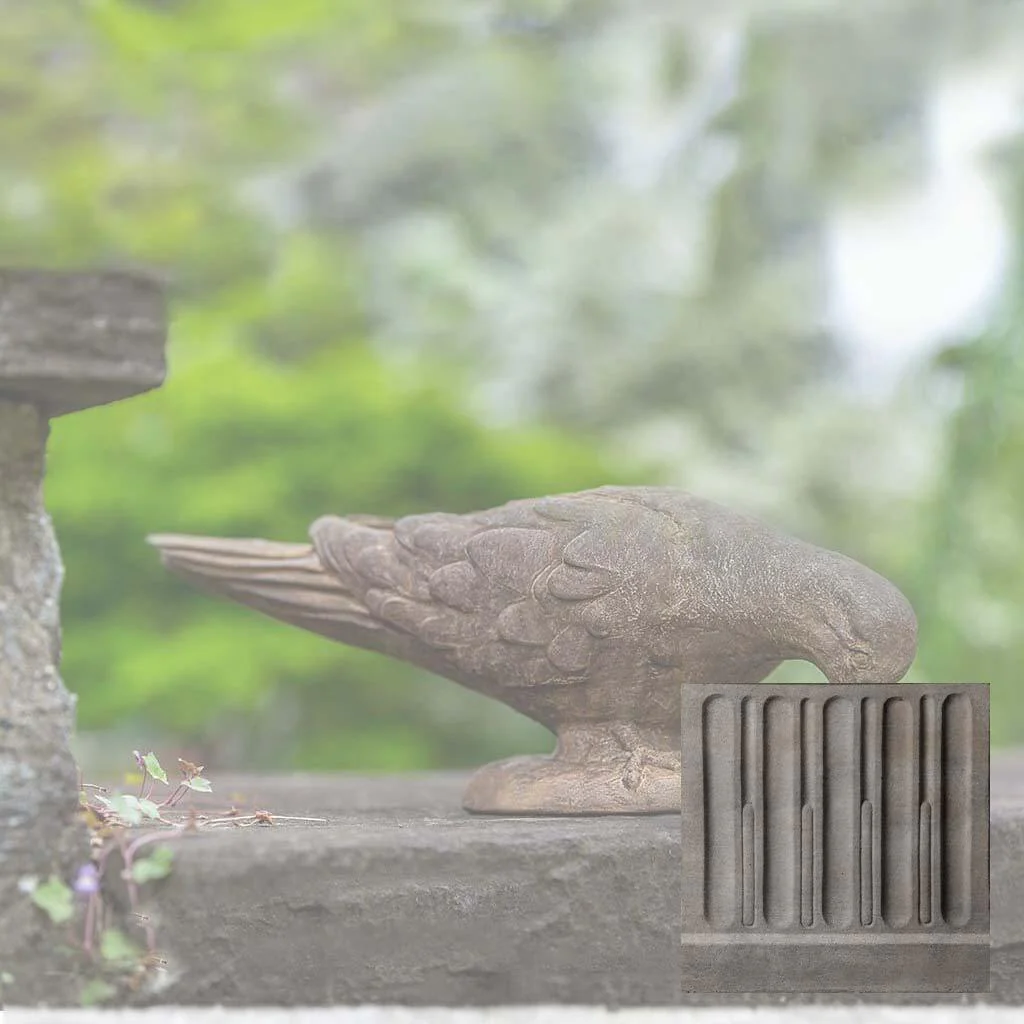French Dove - Image 14