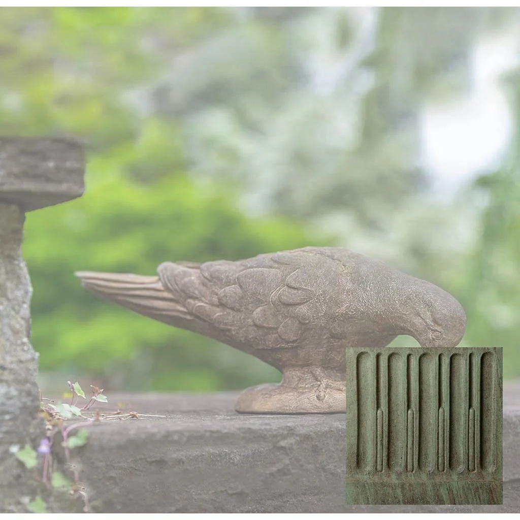 French Dove - Image 4