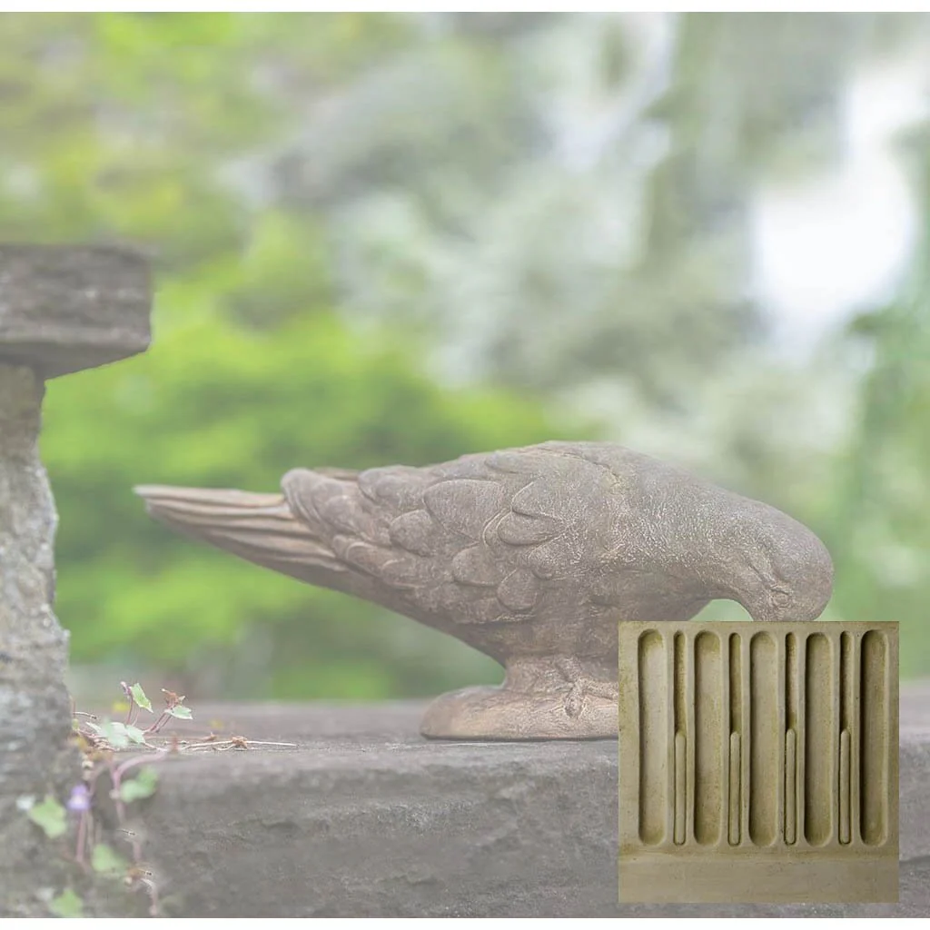 French Dove - Image 5
