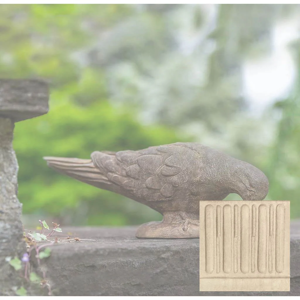 French Dove - Image 6