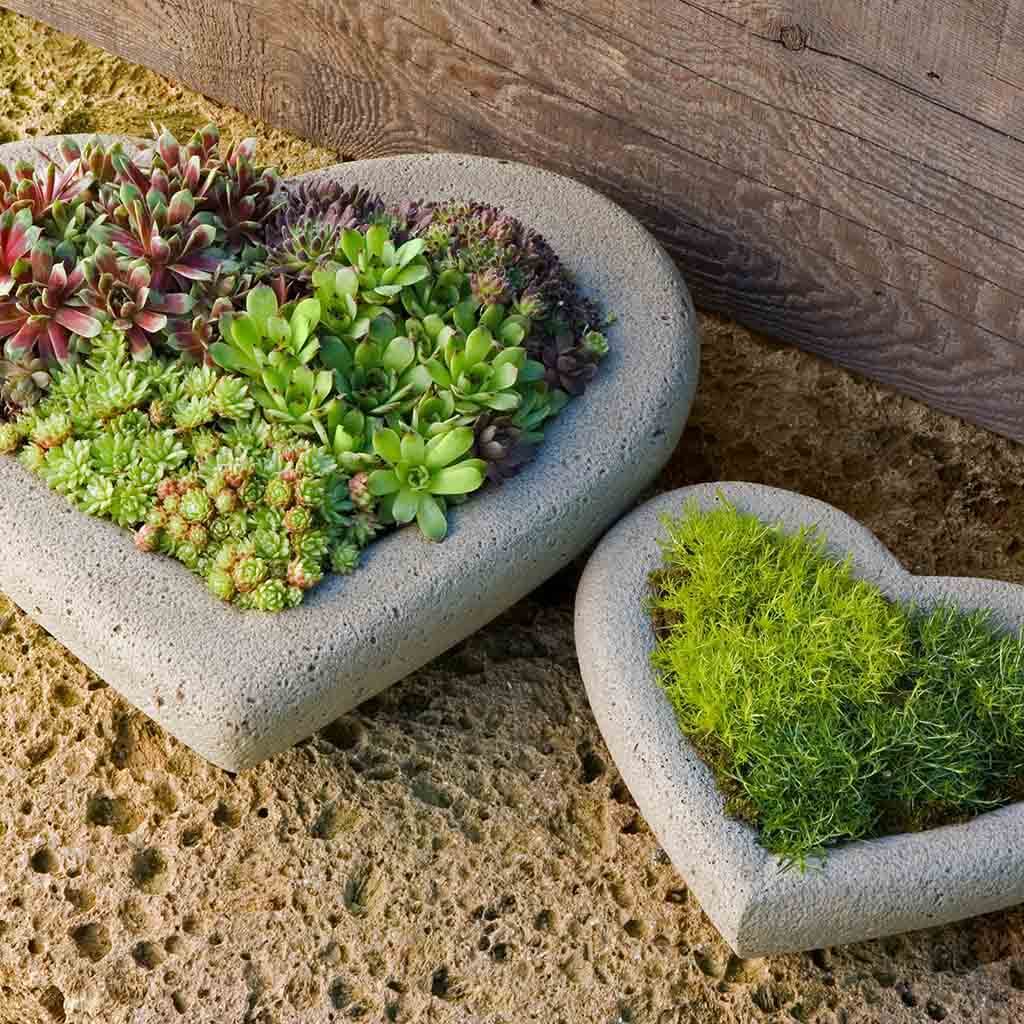 Heart Planter - Large - Image 2