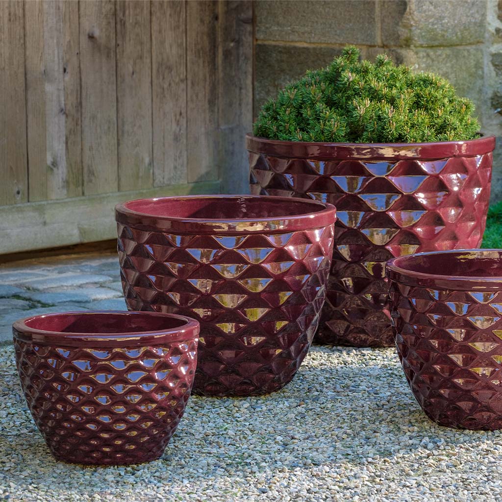 Honeycomb Planter || Plum