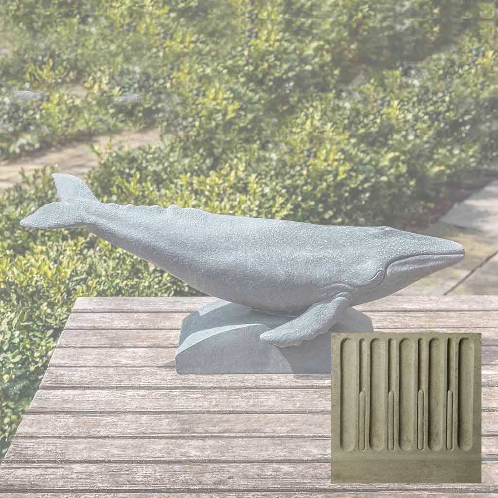 Humpback Whale - Image 12