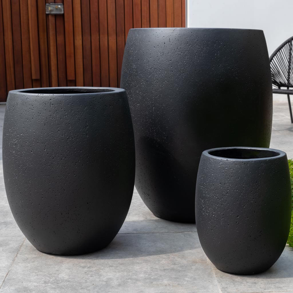 Laguna Planter || Playa Noche