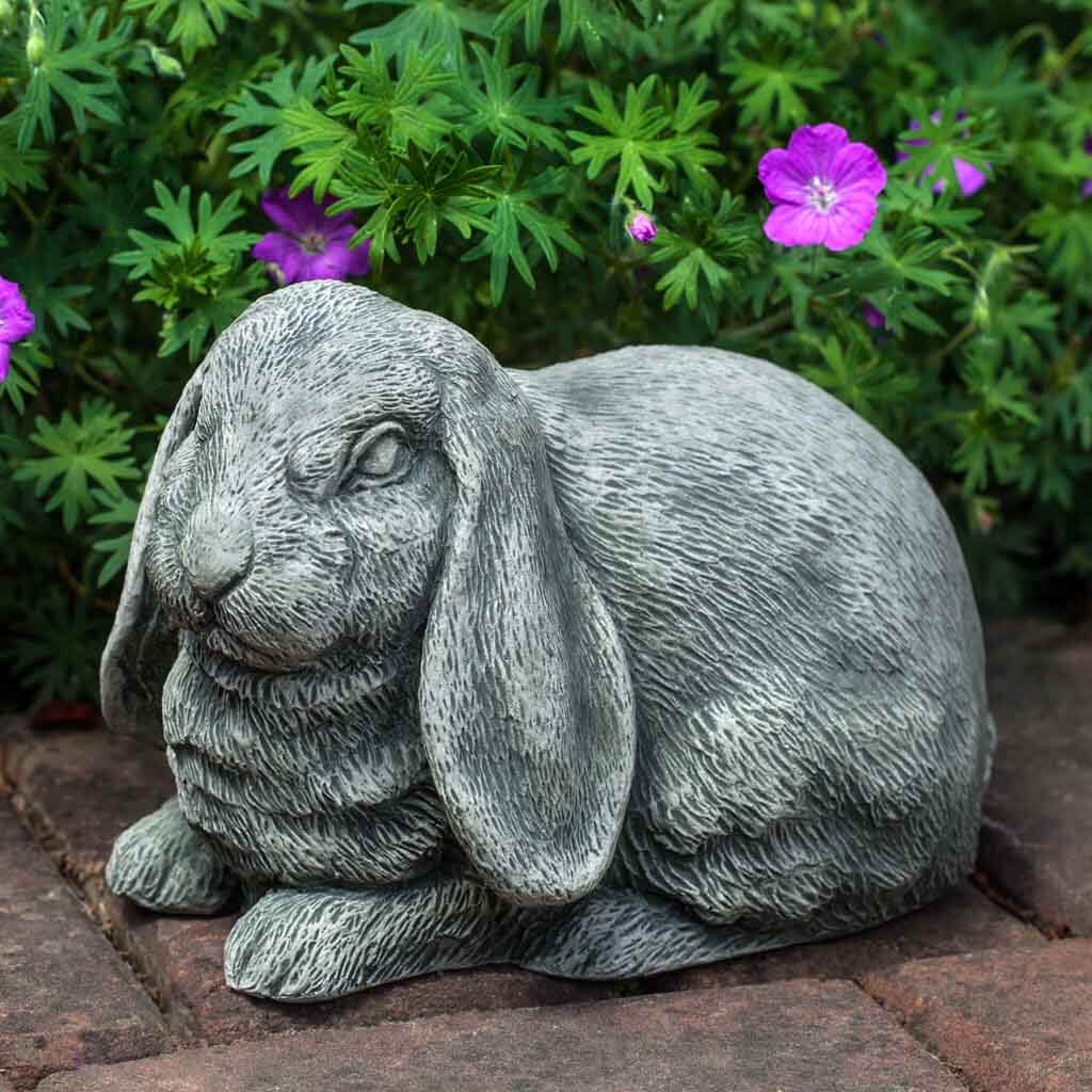Lop-Eared Bunny