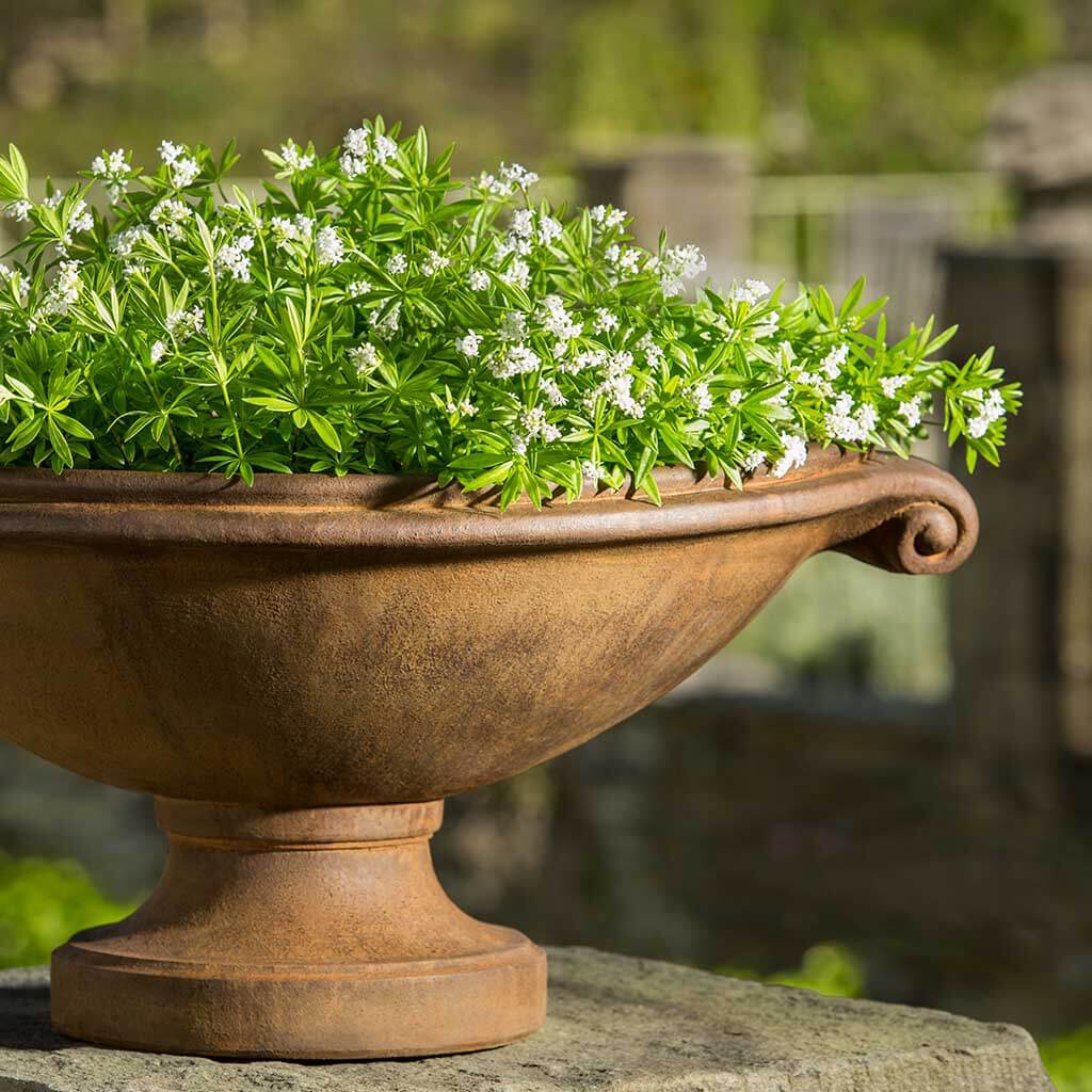 Medici Planter - Small - Image 2