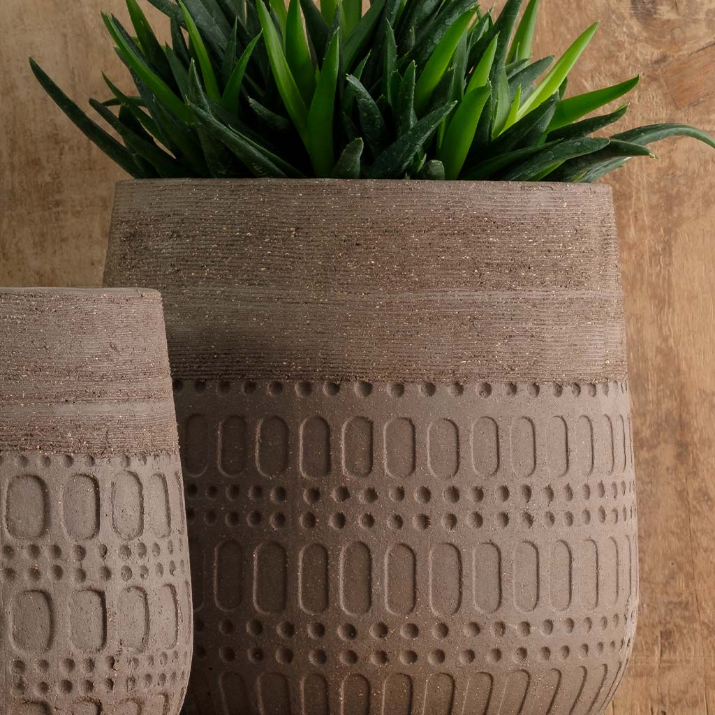Mojave Planter || Carob - Image 2
