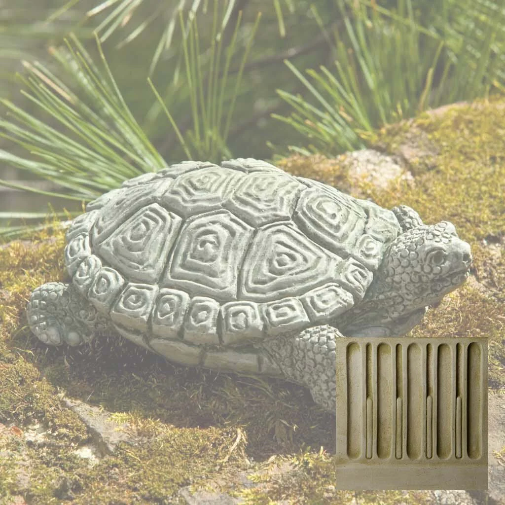 My Pet Turtle - Image 5