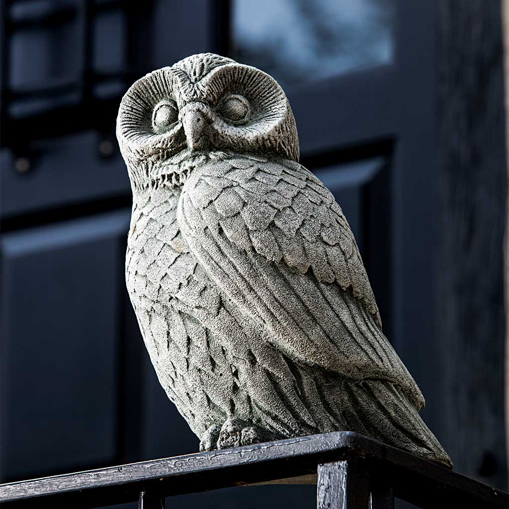 Night Owl