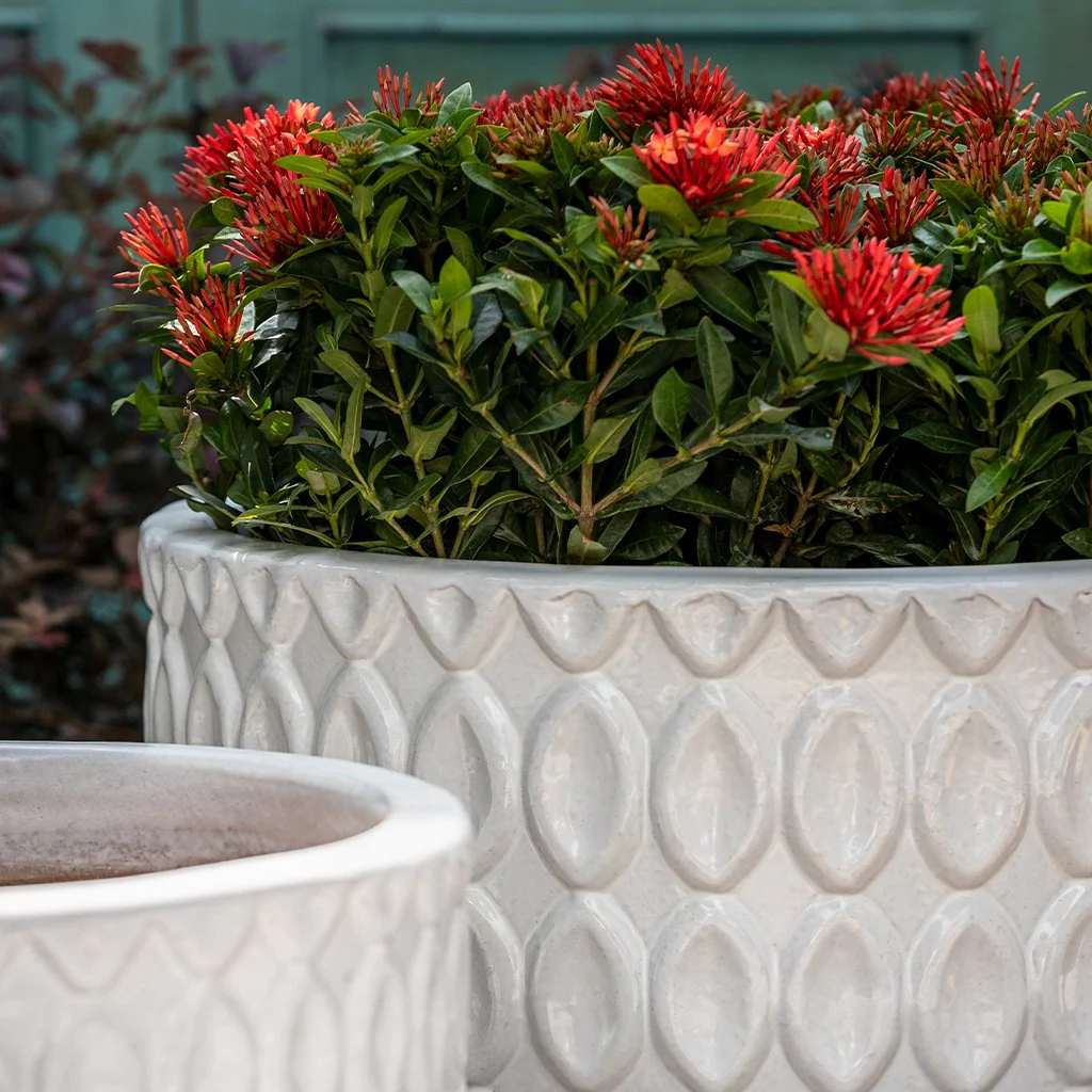 Oriel Planter, Low || Antique White - Image 2