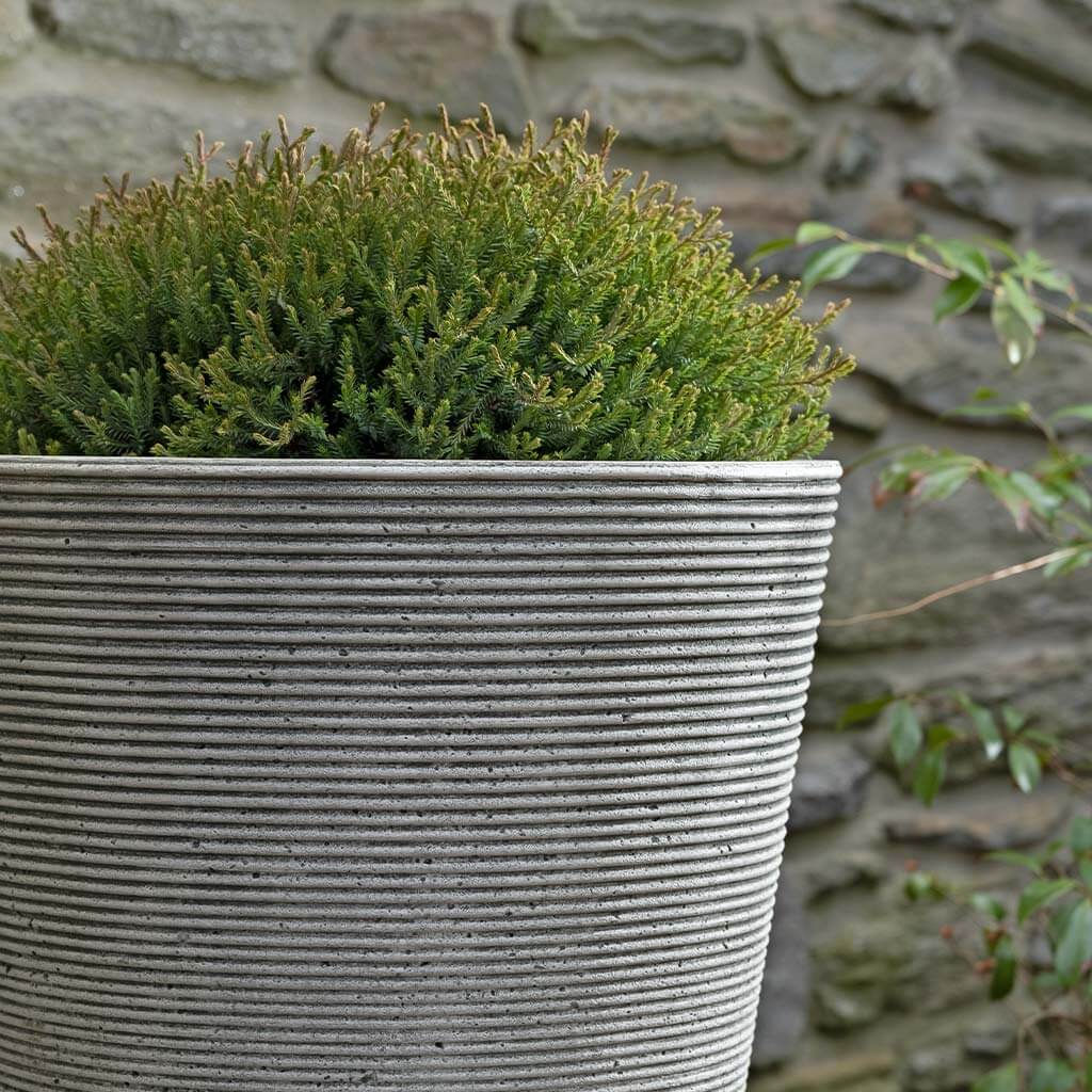 Pimlico Planter - Image 2