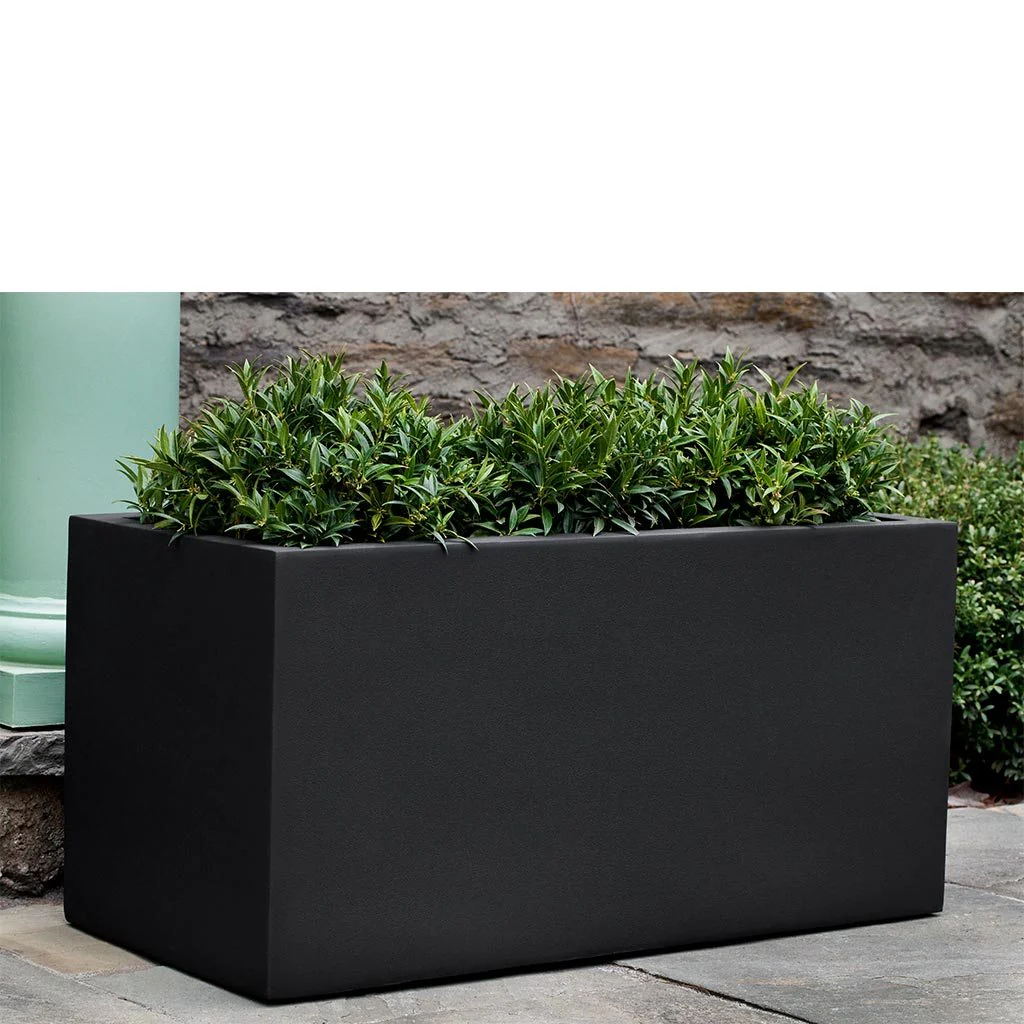 Sandal Planter - Image 10