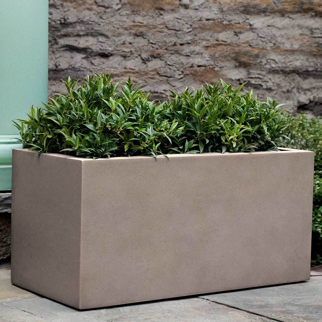 Sandal Planter - Image 38