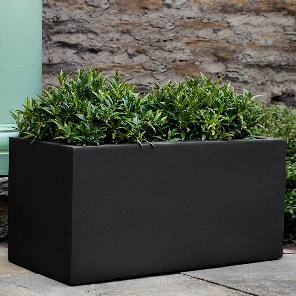 Sandal Planter - Image 39