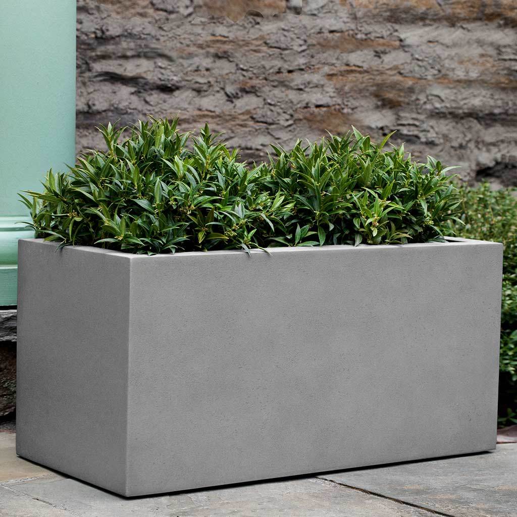 Sandal Planter - Image 42