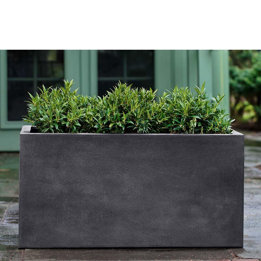 Sandal Planter - Image 8