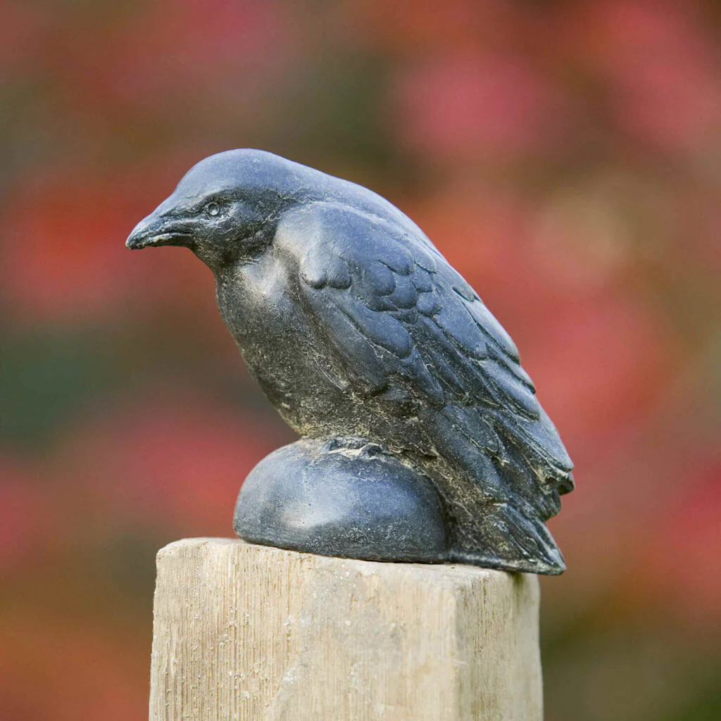 Small Raven