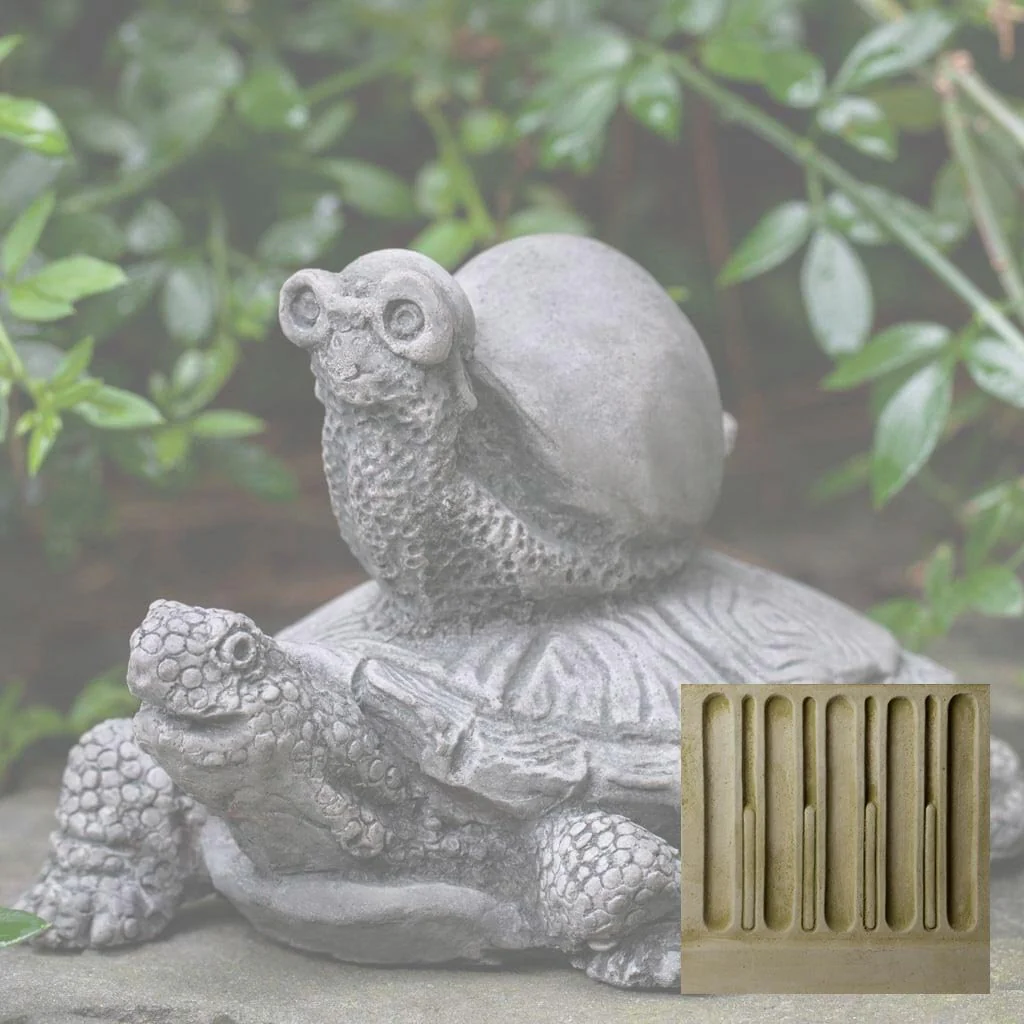 Snail Express - Image 5