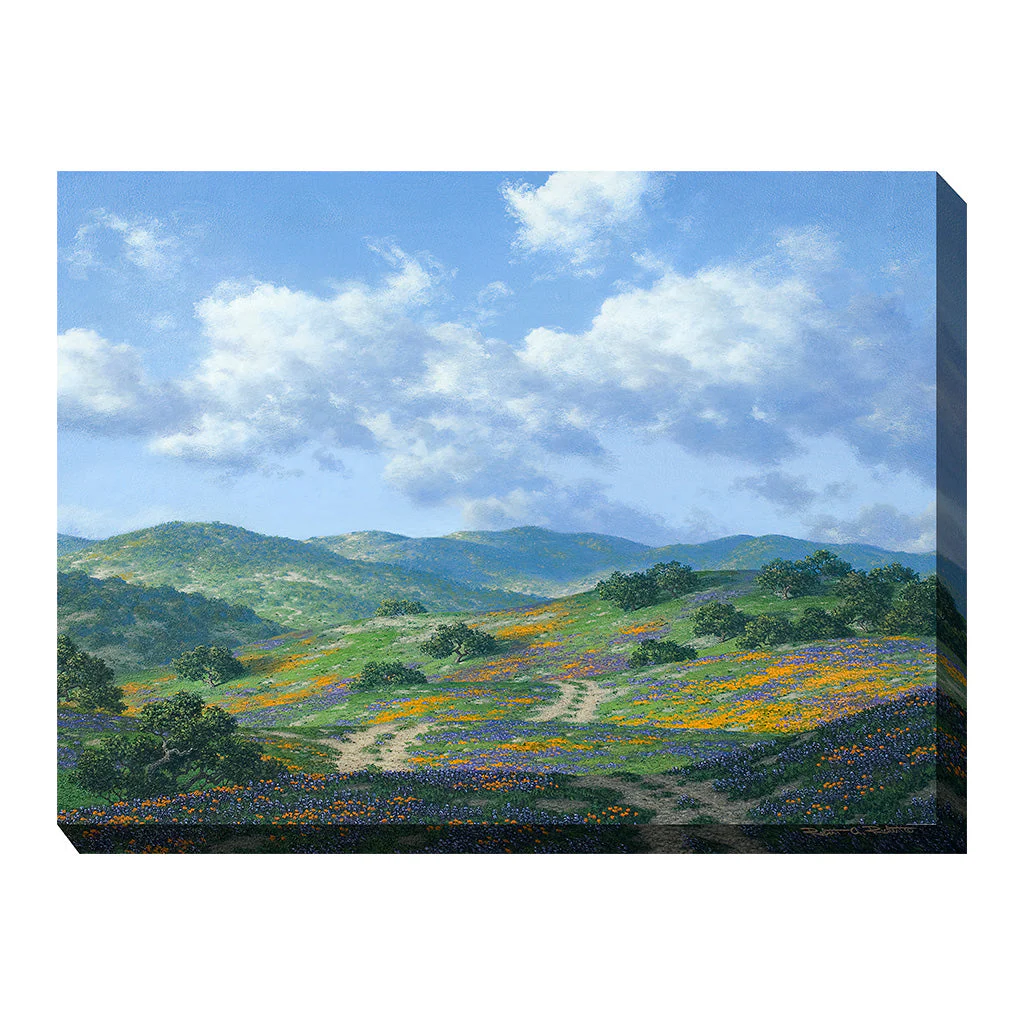 Take The Back Road Outdoor Wall Art