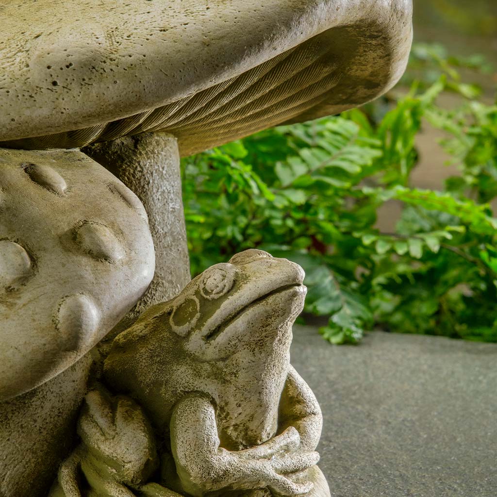 Tucker Toadstool - Image 2