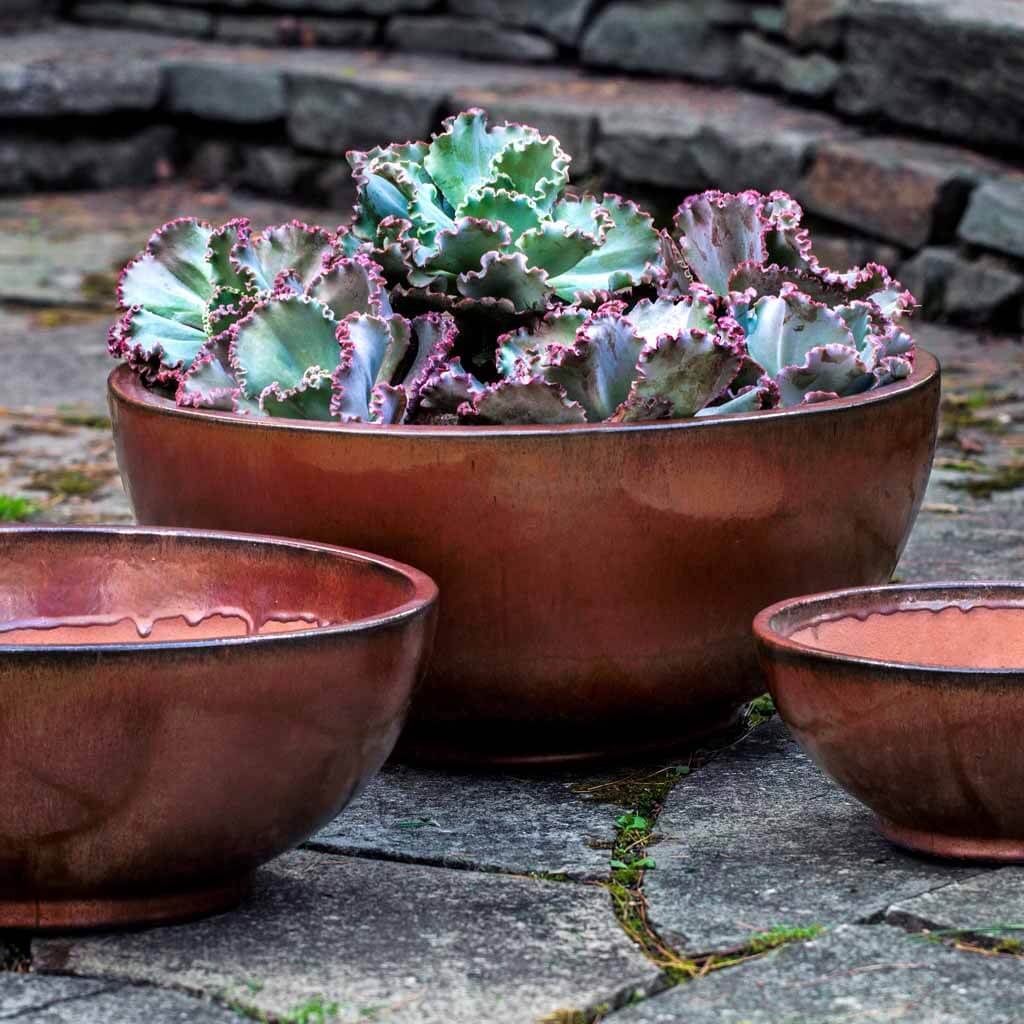 Yuma Bowl || Maple Red